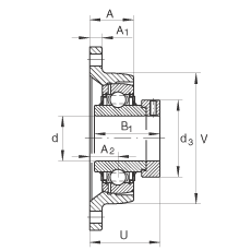 軸承座單元 LCJT40-N, 帶兩個螺栓孔的法蘭的軸承座單元，鑄鐵， 偏心鎖圈， L型密封，適合溫度從 -40°C 到 +180°C