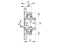 軸承座單元 RCJTY1, 對(duì)角法蘭軸承座單元，鑄鐵，根據(jù) ABMA 15 - 1991, ABMA 14 - 1991, ISO3228 內(nèi)圈帶有平頭螺栓，R型密封，英制